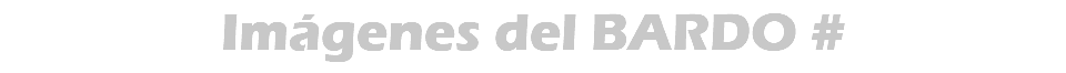 Imágenes del BARDO #